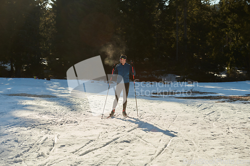 Image of Nordic skiing or Cross-country skiing classic technique practiced by man in a beautiful panoramic trail at morning.Selective focus.