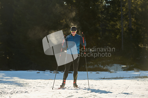 Image of Nordic skiing or Cross-country skiing classic technique practiced by man in a beautiful panoramic trail at morning.Selective focus.