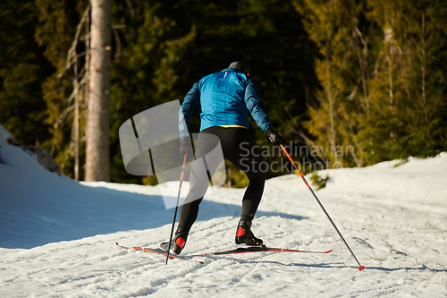 Image of Nordic skiing or Cross-country skiing classic technique practiced by man in a beautiful panoramic trail at morning.Selective focus.