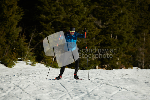 Image of Nordic skiing or Cross-country skiing classic technique practiced by man in a beautiful panoramic trail at morning.Selective focus.