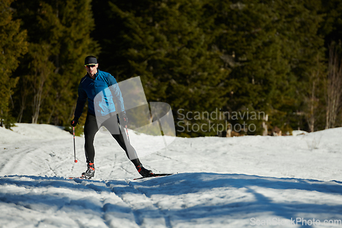 Image of Nordic skiing or Cross-country skiing classic technique practiced by man in a beautiful panoramic trail at morning.Selective focus.