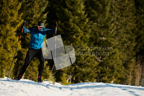 Image of Nordic skiing or Cross-country skiing classic technique practiced by man in a beautiful panoramic trail at morning.Selective focus.