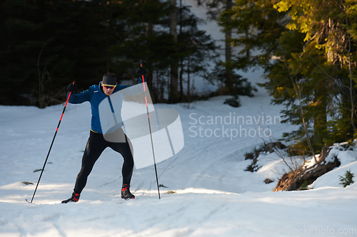 Image of Nordic skiing or Cross-country skiing classic technique practiced by man in a beautiful panoramic trail at morning.Selective focus.