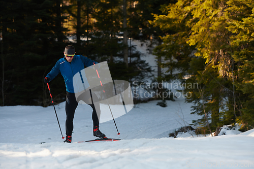 Image of Nordic skiing or Cross-country skiing classic technique practiced by man in a beautiful panoramic trail at morning.Selective focus.