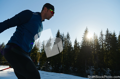 Image of Nordic skiing or Cross-country skiing classic technique practiced by man in a beautiful panoramic trail at morning.Selective focus.