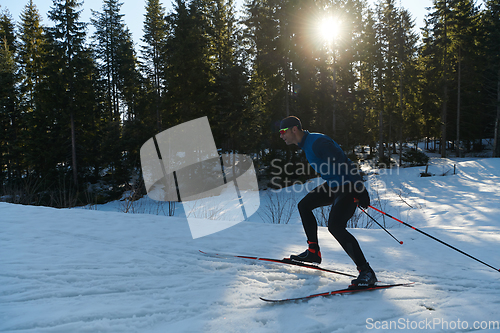 Image of Nordic skiing or Cross-country skiing classic technique practiced by man in a beautiful panoramic trail at morning.Selective focus.