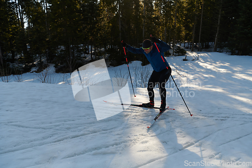 Image of Nordic skiing or Cross-country skiing classic technique practiced by man in a beautiful panoramic trail at morning.Selective focus.