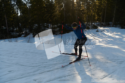 Image of Nordic skiing or Cross-country skiing classic technique practiced by man in a beautiful panoramic trail at morning.Selective focus.