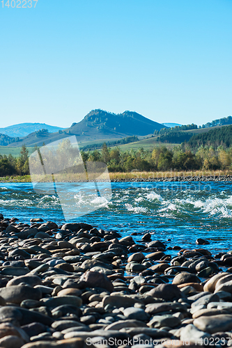 Image of Fast mountain river in Altay