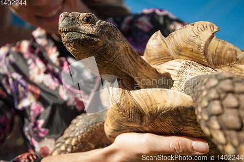 Image of woman holding a pet turtle in hands