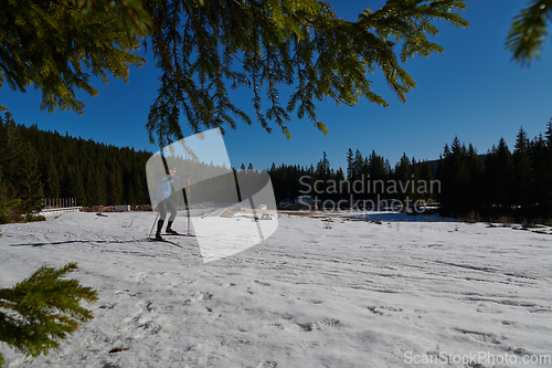 Image of Nordic skiing or Cross-country skiing classic technique practiced by man in a beautiful panoramic trail at morning.Selective focus.