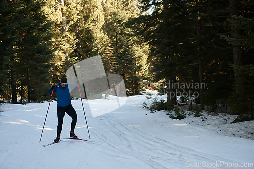 Image of Nordic skiing or Cross-country skiing classic technique practiced by man in a beautiful panoramic trail at morning.Selective focus.