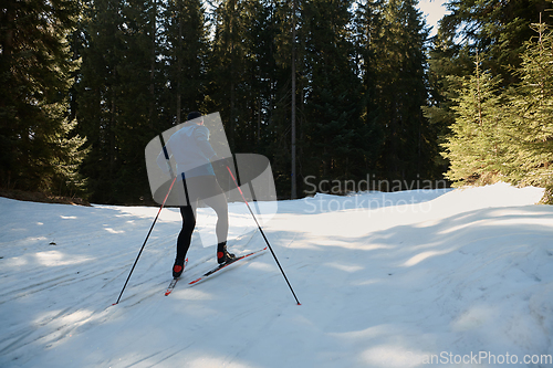 Image of Nordic skiing or Cross-country skiing classic technique practiced by man in a beautiful panoramic trail at morning.Selective focus.