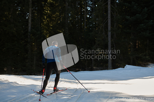 Image of Nordic skiing or Cross-country skiing classic technique practiced by man in a beautiful panoramic trail at morning.Selective focus.