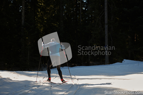 Image of Nordic skiing or Cross-country skiing classic technique practiced by man in a beautiful panoramic trail at morning.Selective focus.