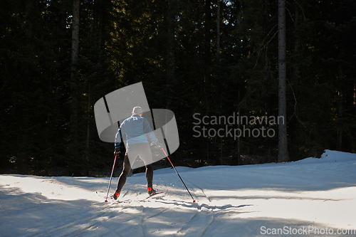 Image of Nordic skiing or Cross-country skiing classic technique practiced by man in a beautiful panoramic trail at morning.Selective focus.