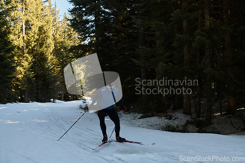 Image of Nordic skiing or Cross-country skiing classic technique practiced by man in a beautiful panoramic trail at morning.Selective focus.