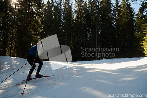 Image of Nordic skiing or Cross-country skiing classic technique practiced by man in a beautiful panoramic trail at morning.Selective focus.