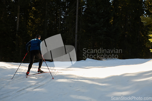 Image of Nordic skiing or Cross-country skiing classic technique practiced by man in a beautiful panoramic trail at morning.Selective focus.