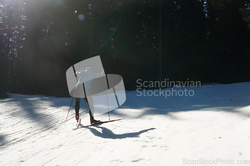 Image of Nordic skiing or Cross-country skiing classic technique practiced by man in a beautiful panoramic trail at morning.Selective focus.