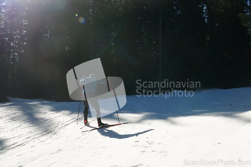 Image of Nordic skiing or Cross-country skiing classic technique practiced by man in a beautiful panoramic trail at morning.Selective focus.