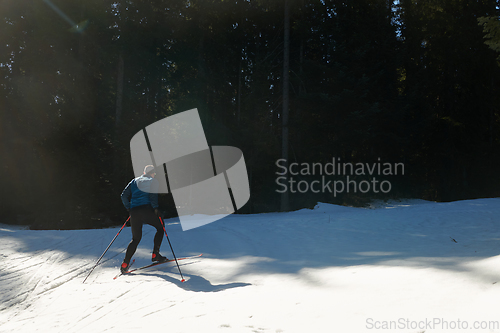 Image of Nordic skiing or Cross-country skiing classic technique practiced by man in a beautiful panoramic trail at morning.Selective focus.