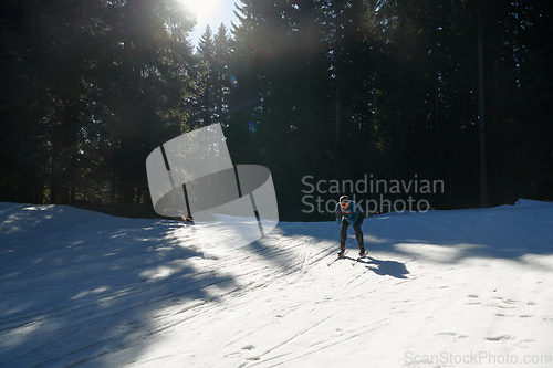 Image of Nordic skiing or Cross-country skiing classic technique practiced by man in a beautiful panoramic trail at morning.Selective focus.