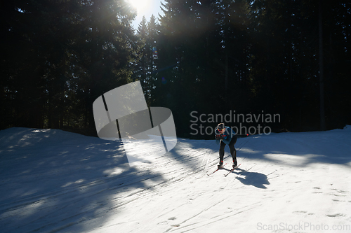 Image of Nordic skiing or Cross-country skiing classic technique practiced by man in a beautiful panoramic trail at morning.Selective focus.