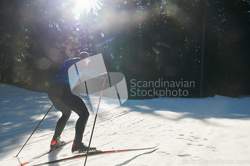 Image of Nordic skiing or Cross-country skiing classic technique practiced by man in a beautiful panoramic trail at morning.Selective focus.