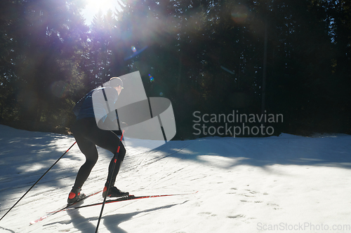 Image of Nordic skiing or Cross-country skiing classic technique practiced by man in a beautiful panoramic trail at morning.Selective focus.