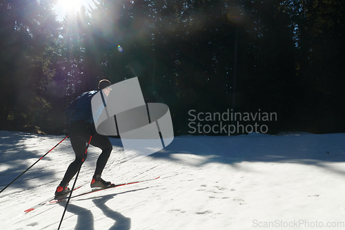 Image of Nordic skiing or Cross-country skiing classic technique practiced by man in a beautiful panoramic trail at morning.Selective focus.