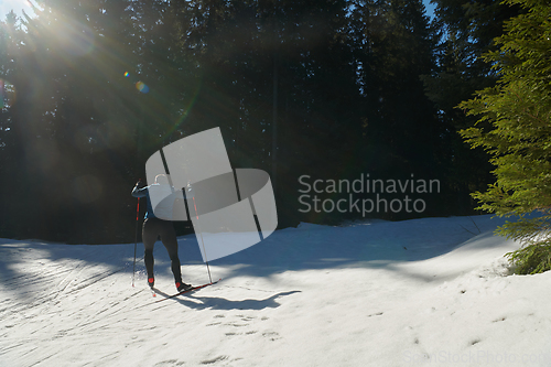 Image of Nordic skiing or Cross-country skiing classic technique practiced by man in a beautiful panoramic trail at morning.Selective focus.