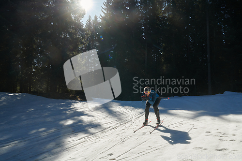 Image of Nordic skiing or Cross-country skiing classic technique practiced by man in a beautiful panoramic trail at morning.Selective focus.