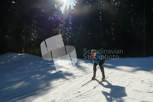 Image of Nordic skiing or Cross-country skiing classic technique practiced by man in a beautiful panoramic trail at morning.Selective focus.