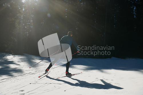 Image of Nordic skiing or Cross-country skiing classic technique practiced by man in a beautiful panoramic trail at morning.Selective focus.