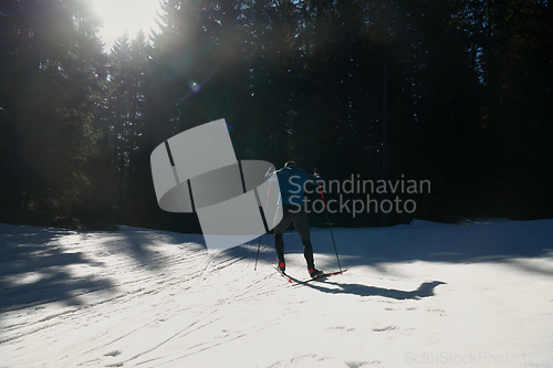 Image of Nordic skiing or Cross-country skiing classic technique practiced by man in a beautiful panoramic trail at morning.Selective focus.