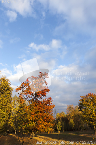 Image of autumn season