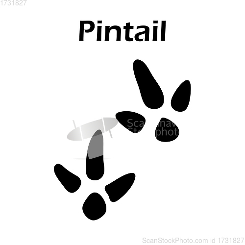 Image of Pintail Footprint