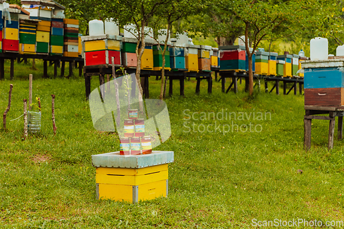 Image of Natural honey products photographed at a honey farm. Pollen, honey and various honey products