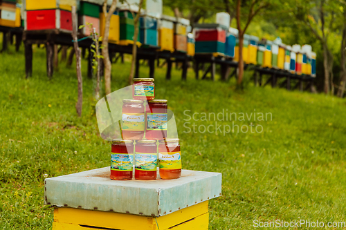 Image of Natural honey products photographed at a honey farm. Pollen, honey and various honey products