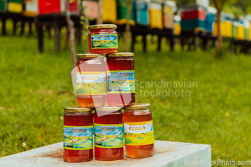 Image of Natural honey products photographed at a honey farm. Pollen, honey and various honey products