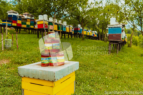 Image of Natural honey products photographed at a honey farm. Pollen, honey and various honey products