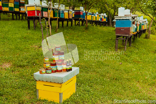 Image of Natural honey products photographed at a honey farm. Pollen, honey and various honey products