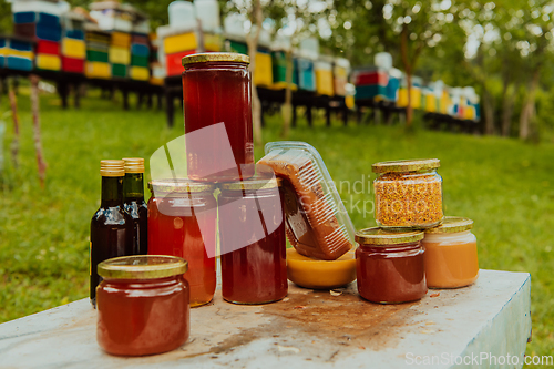 Image of Natural honey products photographed at a honey farm. Pollen, honey and various honey products