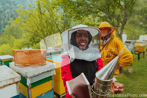 Image of Arab investitor with an experienced senior beekeeper checking the quality and production of honey at a large bee farm