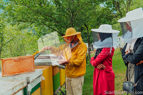 Image of Business partners with an experienced senior beekeeper checking the quality and production of honey at a large bee farm