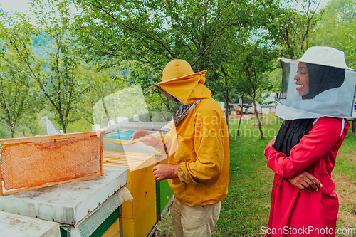 Image of African American Muslim women with an experienced senior beekeeper checking the quality and production of honey at a large bee farm