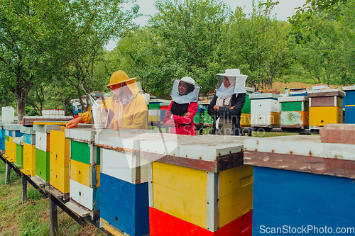 Image of Business partners with an experienced senior beekeeper checking the quality and production of honey at a large bee farm