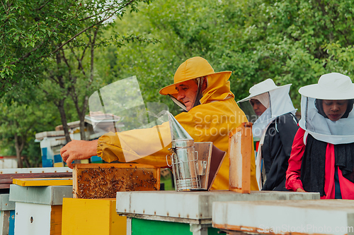 Image of Business partners with an experienced senior beekeeper checking the quality and production of honey at a large bee farm