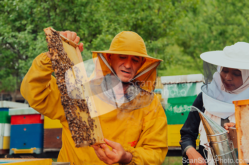 Image of African American Muslim women with an experienced senior beekeeper checking the quality and production of honey at a large bee farm